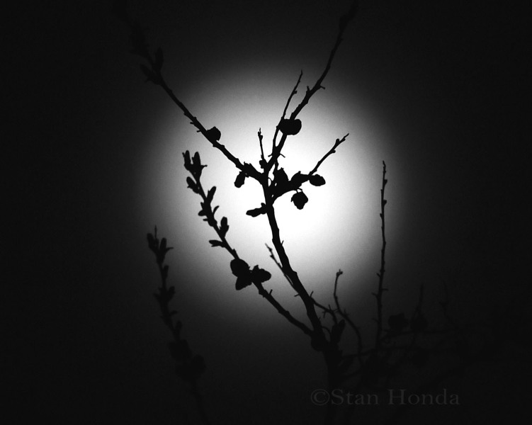 Full moon, Grant, New Mexico, 2014