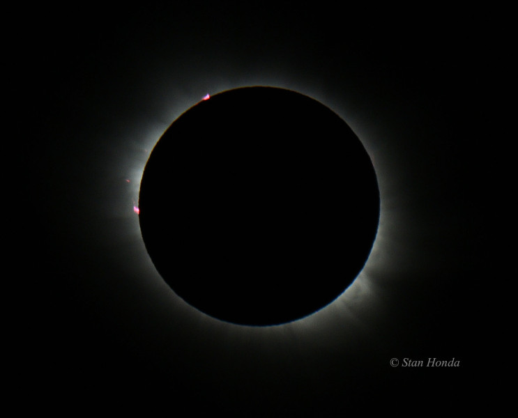 Red solar prominences during totality, including a small one being flung off into space