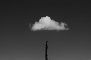The lone cloud, burned ponderosa trunk.