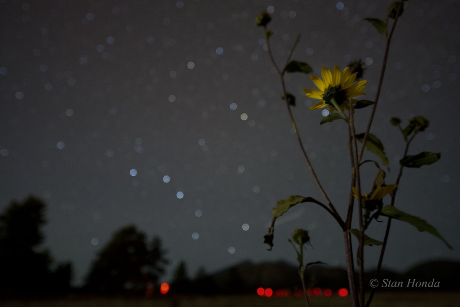Sunflower, Big Dipper, Flagstaff, Arizona. At the Flagstaff Star Party in September.