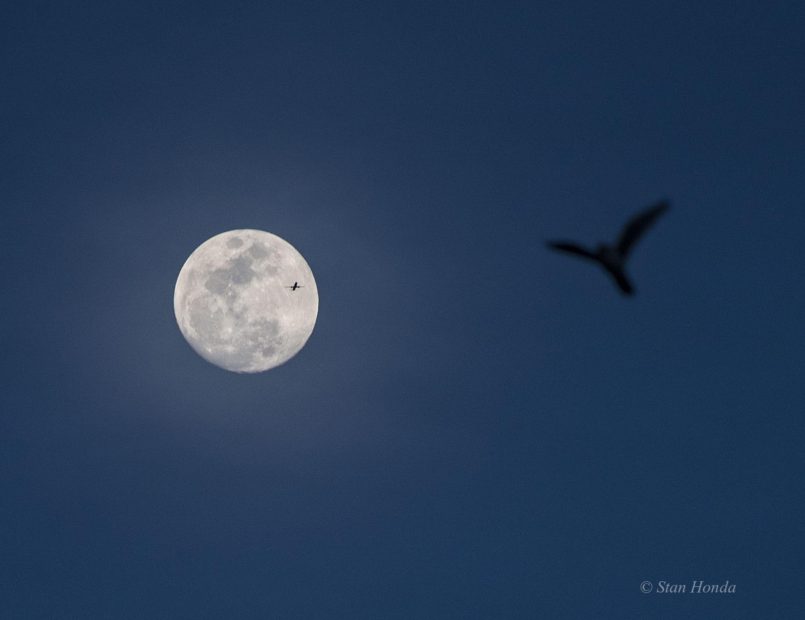 Moonrise, Mar. 21, 7:30 pm