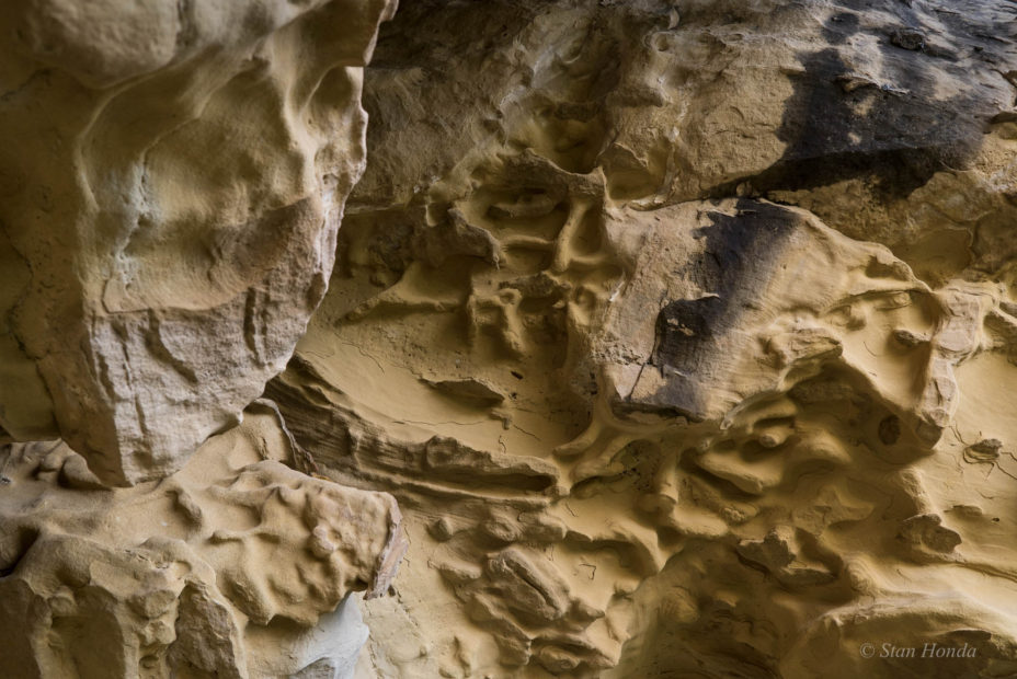 Water erosion that resembles the cliff dwellings